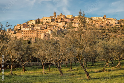 trevi, italien - olivenbäume und altstadt im hintergrund photo