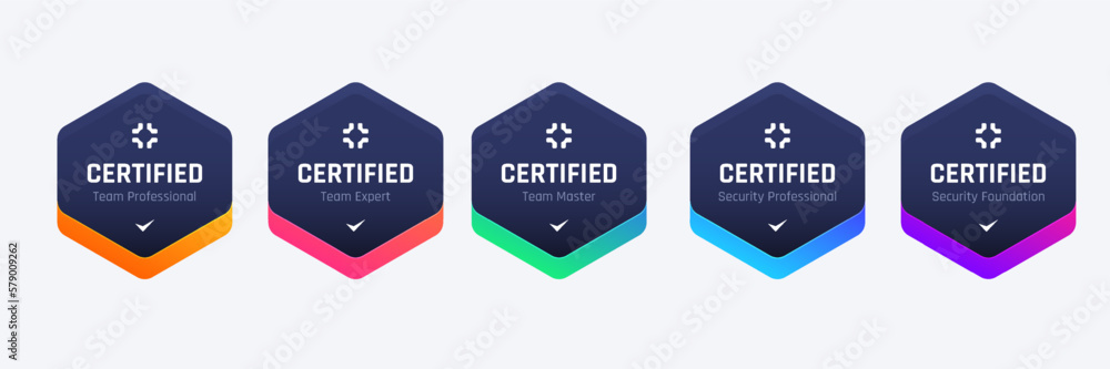 List of Computer Security Certifications Organizations Badge Design Base On Criteria. Vector Illustration Colorful Hexagon Logo Template. - obrazy, fototapety, plakaty 