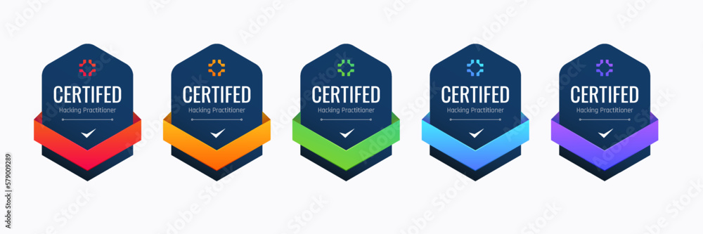 Certified Badge Design for Hacking Practitioner. Professional Computer Security Certifications Based on Criteria. - obrazy, fototapety, plakaty 