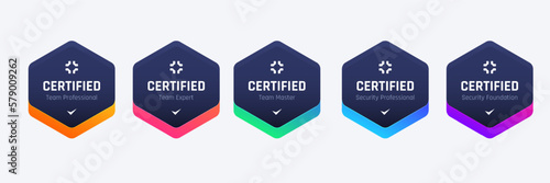 List of Computer Security Certifications Organizations Badge Design Base On Criteria. Vector Illustration Colorful Hexagon Logo Template.