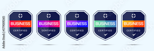 Business Company Badge Design Based on Criteria. Vector Illustration Shield Logo Template.