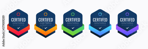 Certified Badge Design for Hacking Practitioner. Professional Computer Security Certifications Based on Criteria.