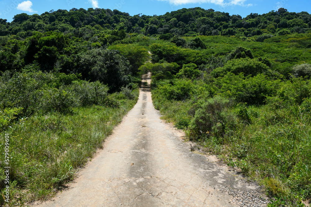 Dirt road on Isimangaliso wetland park, South Africa