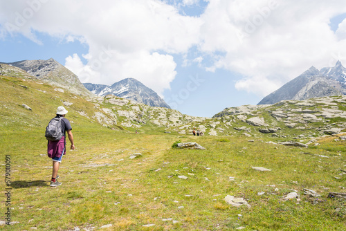 Man hiking in the Alps to the Mount Cenis Lake. Green mountain landscape in summer, the sky is blue with soft clouds.