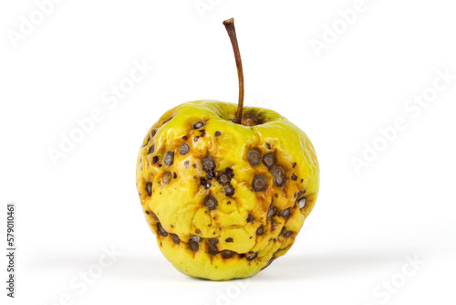 Damaged apple on a white background. photo