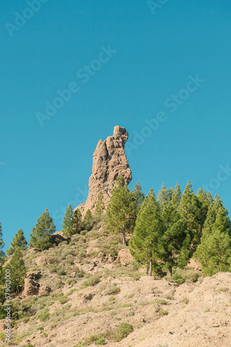 Wild volcanic landmark of rock formation that looks like a friar with pine trees, cliffs in Pico de las Nieves, Tejeda, Gran Canaria. Sunny and clear day