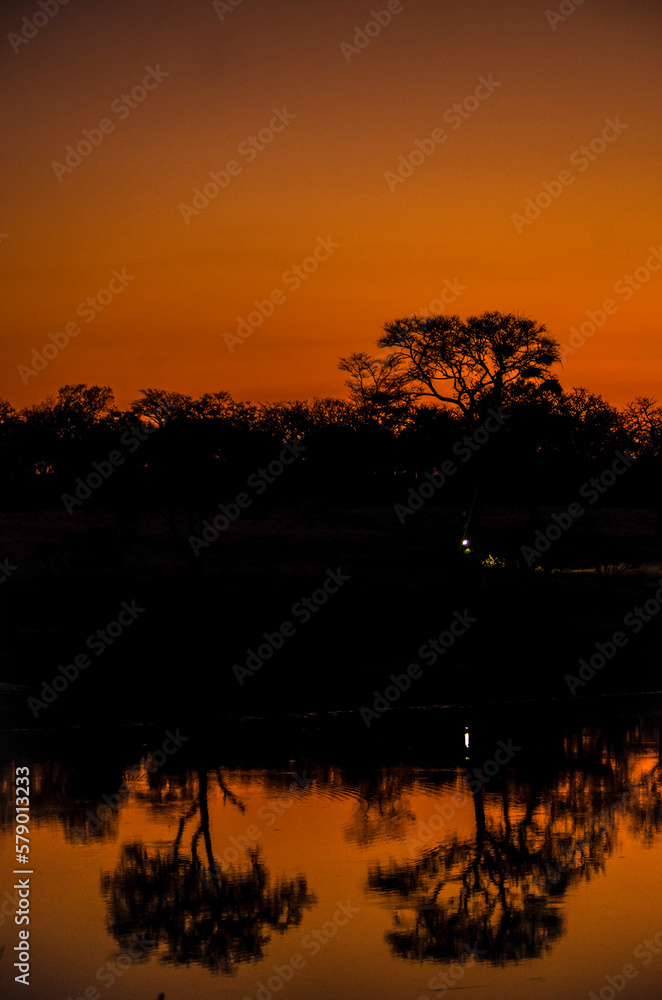 A reflection of trees in a river at dusk A reflection of trees in a river at dusk