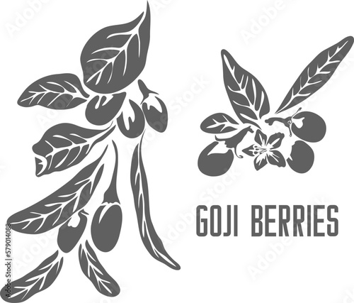 Goji berries vector silhouette. Lycium barbarum medicinal herbal outline. Goji fruits silhouette for pharmaceuticals and coocking. Set of outline Goji berries with leafs.