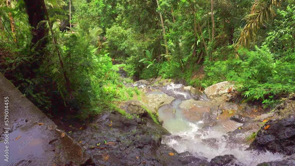 Water cascading down steep slopes through the thick Indonesian jungle Water cascading down steep slopes through the thick Indonesian jungle