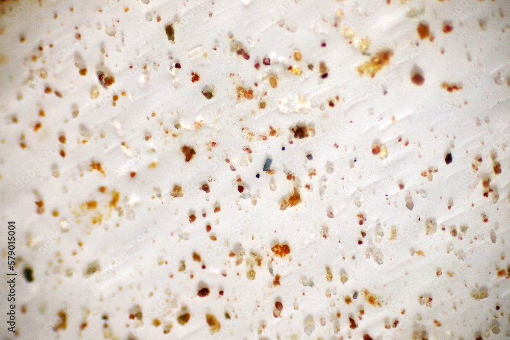 Microplastics inside the soil. Concept of global warming and climate change. Non-recyclable plastics produce environment pollution at the field with microscope macro 40x lens environmental health lab. Microplastics inside the soil. Concept of global warming and climate change. Non-recyclable plastics produce environment pollution at the field with microscope macro 40x lens environmental health lab.