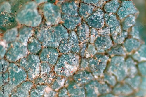 Microplastics inside the soil observed under a 40x microscope macro lens in an environmental health laboratory. This image represents non-recyclable plastic particles contaminating agricultural soil, 