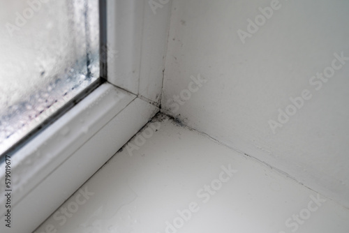 old dirty window, black mold grows on window sill, household damages, mildew, high moisture in home, cleanliness at the house