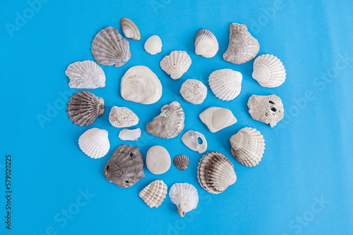 Seashells in heart shape on blue background. Vacation concept