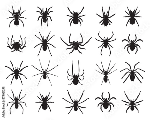 Black silhouettes of spiders on white background