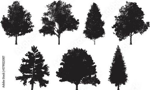 Set of tree silhouettes in dotwork style. For the forest or park background. Cedar, oak, robinia, maple black silhouettes.