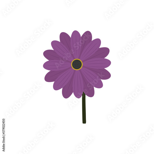  A beautiful flower vector artwork