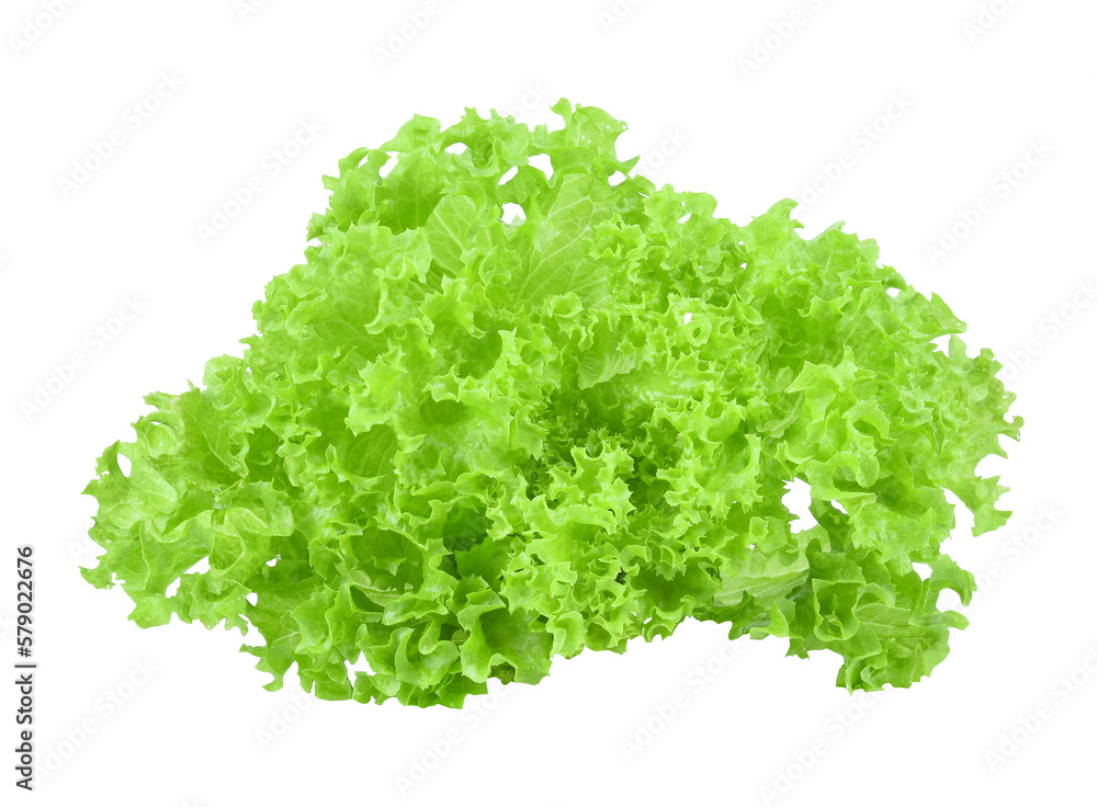 Obraz premium lettuce transparent png