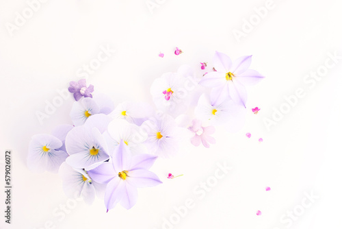 floral ornament isolated on a white background. design element