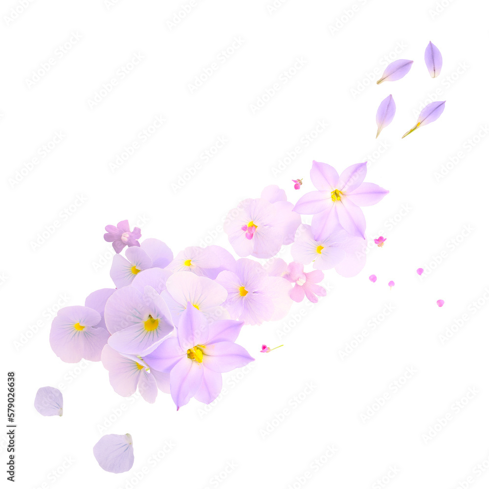 floral ornament isolated on a white background. design element