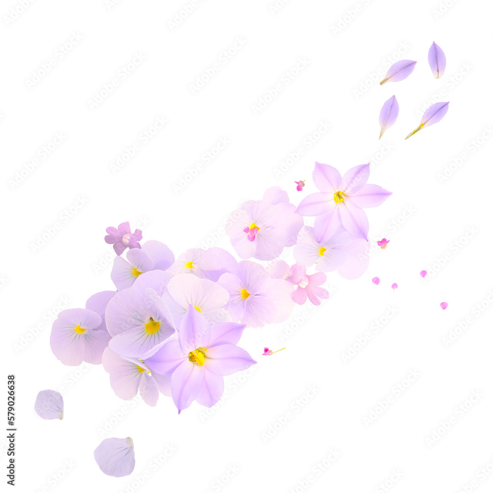 floral ornament isolated on a white background. design element floral ornament isolated on a white background. design element
