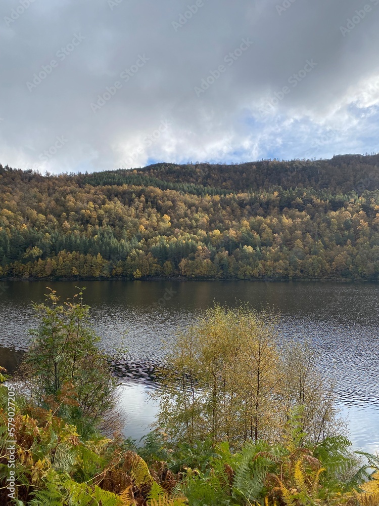 Glen Affric, écosse