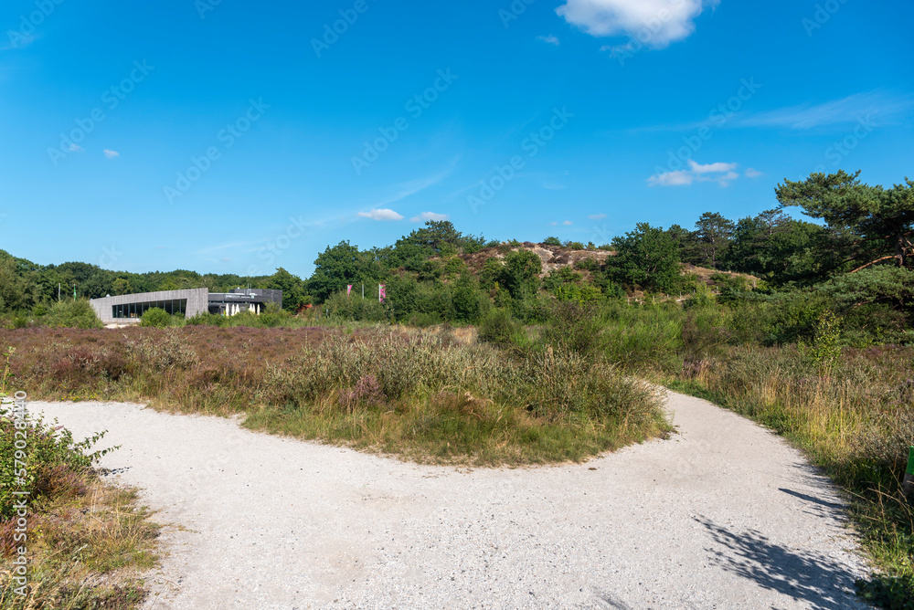 Buitencentrum im Naturschutzgebiet Schoorlser Dünen bei Schoorl