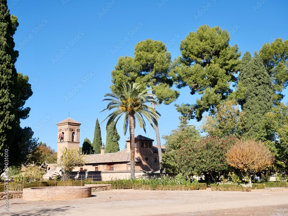 Obraz premium tree in the park