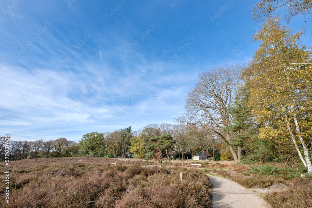 Nature reserve Sallandse Heuvelrug Nature reserve Sallandse Heuvelrug