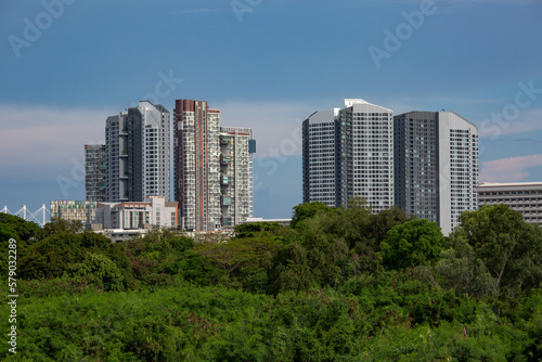 Condo front side forest