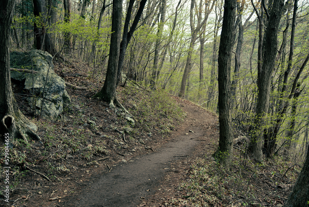 Naklejka premium The mountain road that goes around