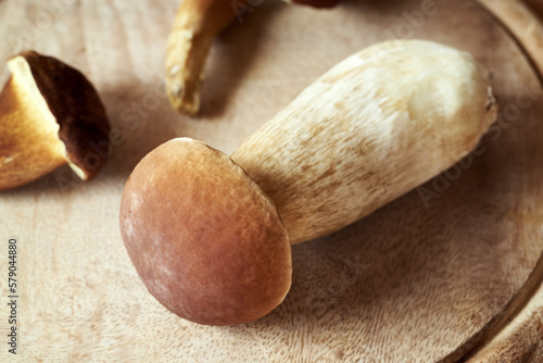 Fresh porcini or king bolete mushroom on a table