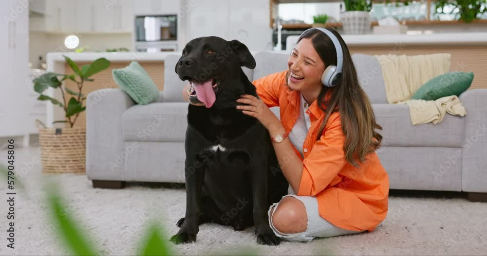 Black dog, woman and living room with animal and pet owner care in a ...