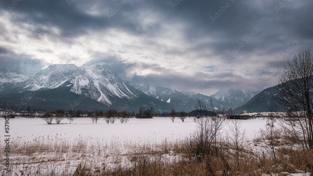 Alpin mountains in winter with clouds and a snow covered field with trees and branches