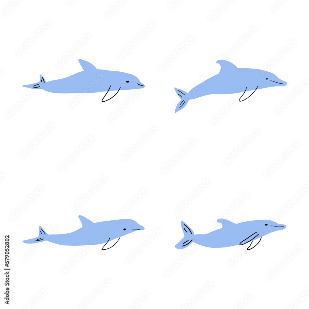 Fototapeta premium Nautical Dolphin. Sea Underwater animal. Vector illustration