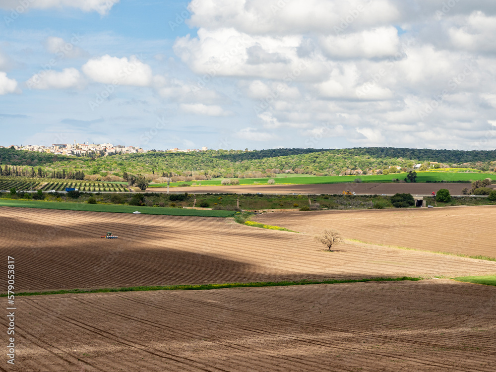 Farming Fields in North Israel near Haifa
