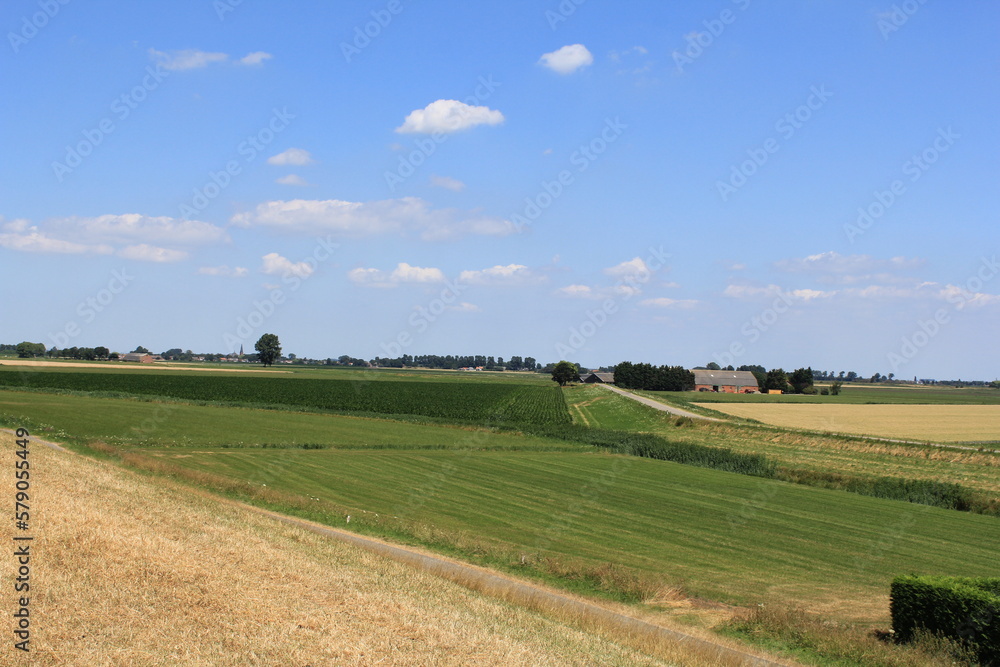 beautiful agricultural landscape in the dutch countryside in springtime with green fields and a blue sky