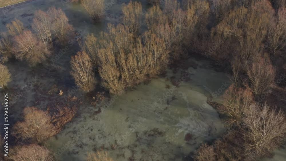 Aerial view of flooded woodland in winter with frozen water surface Aerial view of flooded woodland in winter with frozen water surface