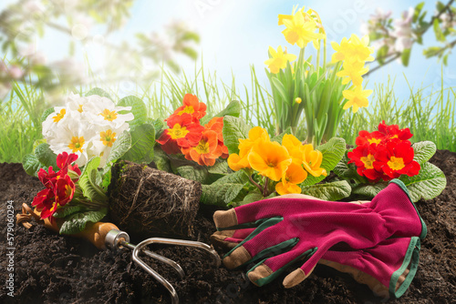 Blumen pflanzen im Frühling