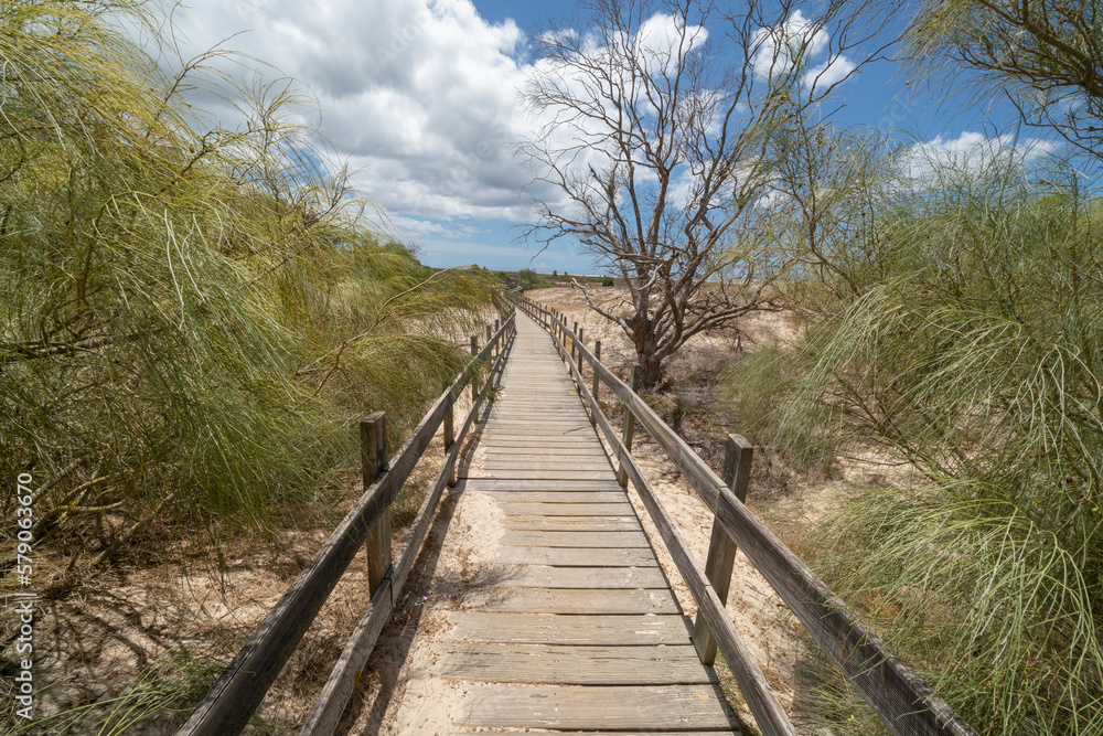 Wooden boardwalk path over sandy beach with bushes, blue sky, implying journey or destination.
