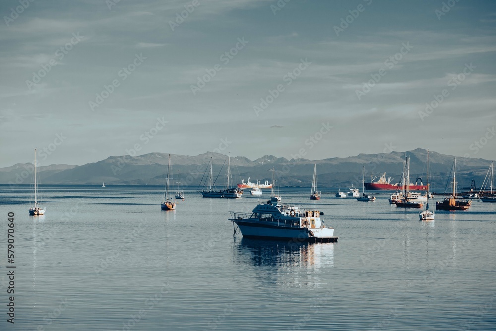 Fototapeta premium boats in the harbor