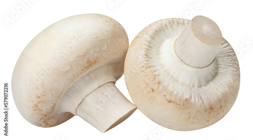 Delicious champignon mushrooms cut out photo