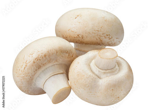 Delicious champignon mushrooms cut out