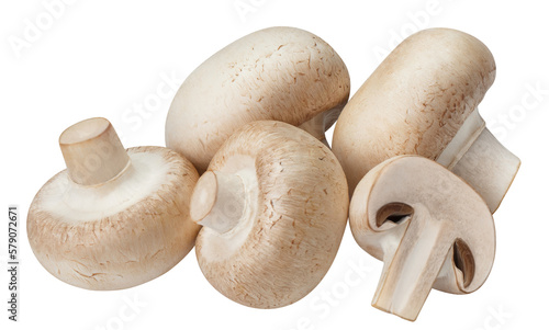 Delicious champignon mushrooms cut out