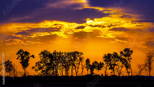 fiery sky at sunset over trees on the horizon