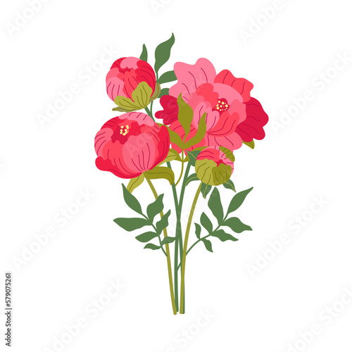 Bouquet of elegant blooming peonies. Vector flat illustration. Romantic peony isolated on white. Gorgeous flowers for botanical floristic decor, mother's day cards. Cartoon flowers
