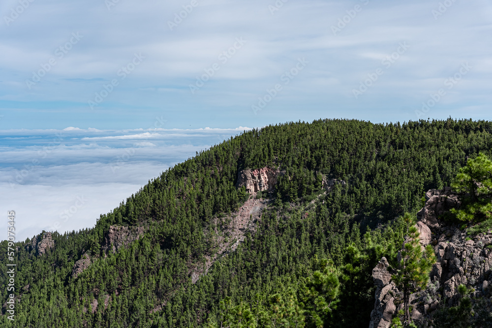 montaña de pinos y formacion rocosa circular con vistas del cielo el mar y un increíble mar de nubes