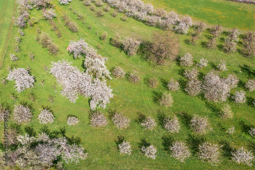 Bird's-eye view of blossoming cherry trees in Franconian Switzerland near Egloffsteinerhüll/Germany