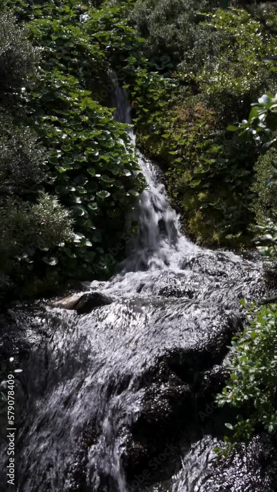 small cascade with fresh water running down the rocks between vegetation in Torres del Paine National Park small cascade with fresh water running down the rocks between vegetation in Torres del Paine National Park