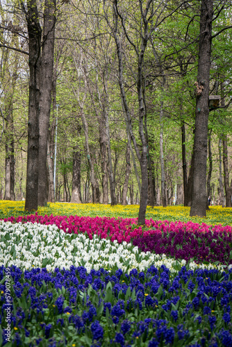Wallpaper Mural spring in the park Torontodigital.ca