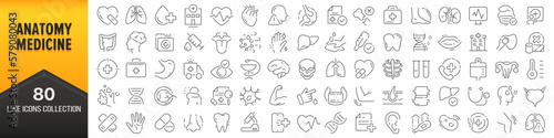 Anatomy and medicine line icons collection. Big UI icon set in a flat design. Thin outline icons pack. Vector illustration EPS10
